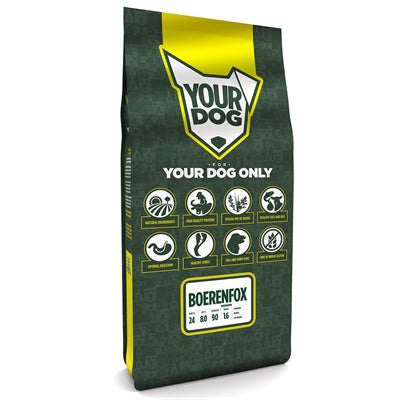 Yourdog Boerenfox Senior