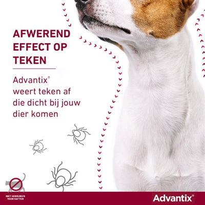 Bayer Elanco Advantix Spot On