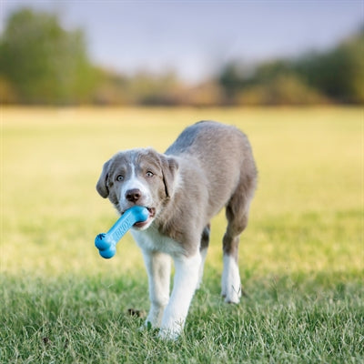 Kong Puppy Goodie Bone Roze Of Blauw Assorti